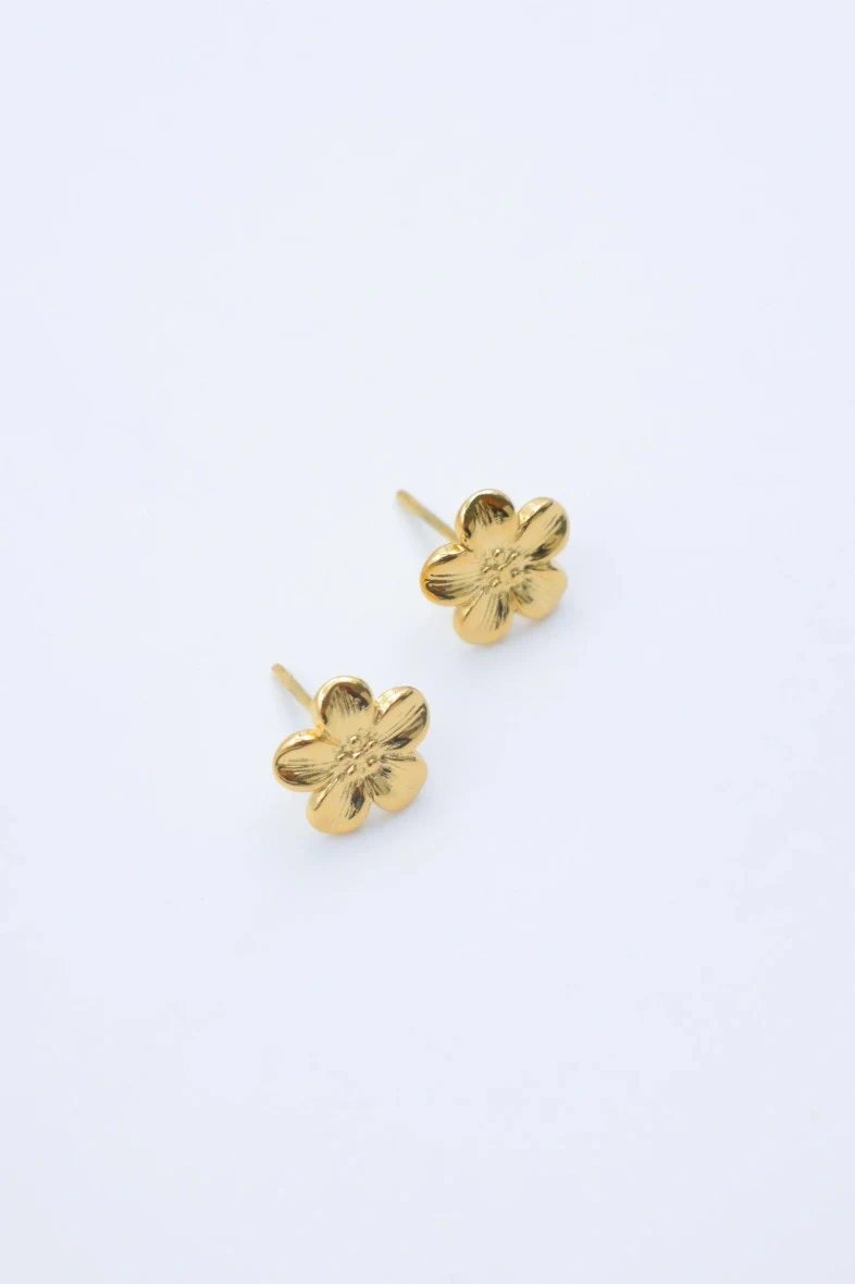 BOUCLES AELIS