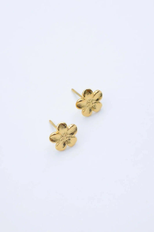 BOUCLES AELIS