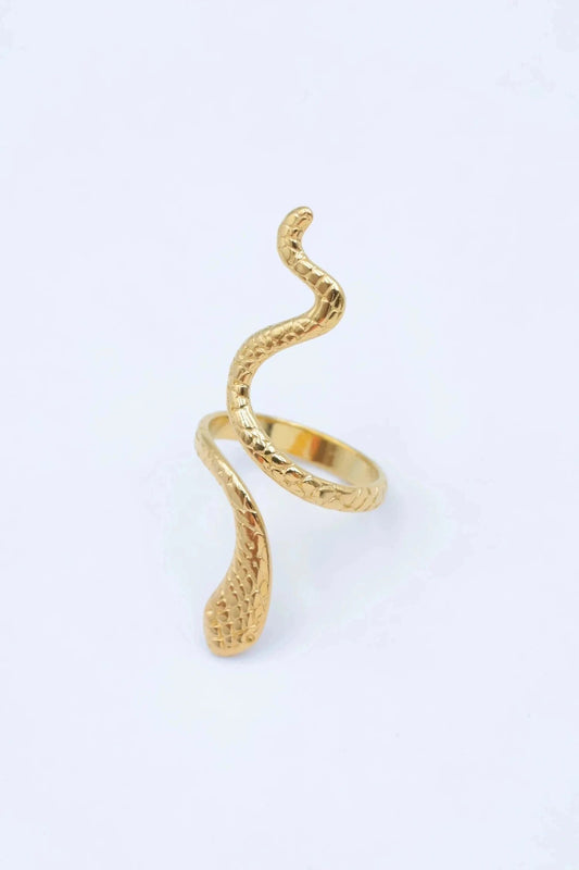 BAGUE NAYA